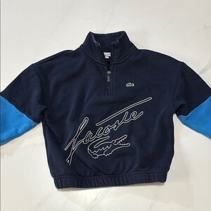 Lacoste Navy and Blue Quarter-Zip Sweatshirt